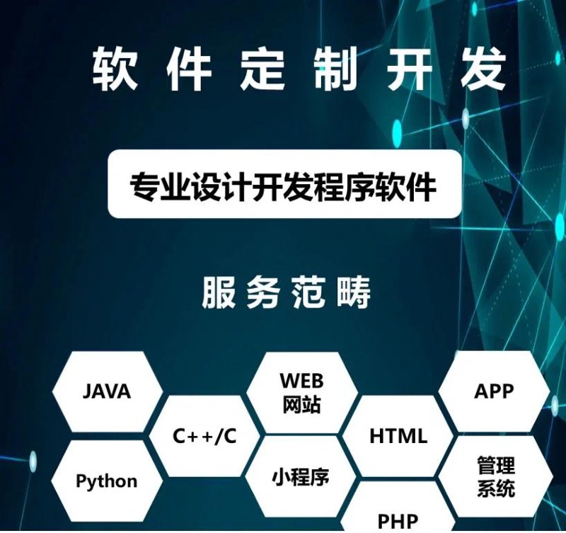 软件定制开发:打造企业专属高效工具